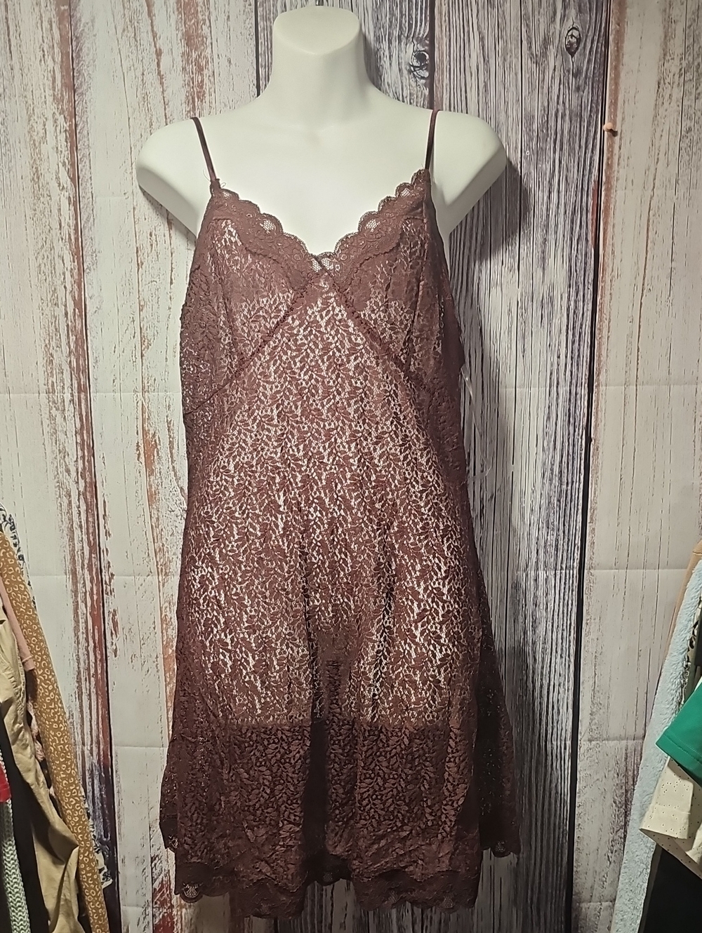 POL Mauve Brown Lace Slip Chemise with Scalloped V-Neck